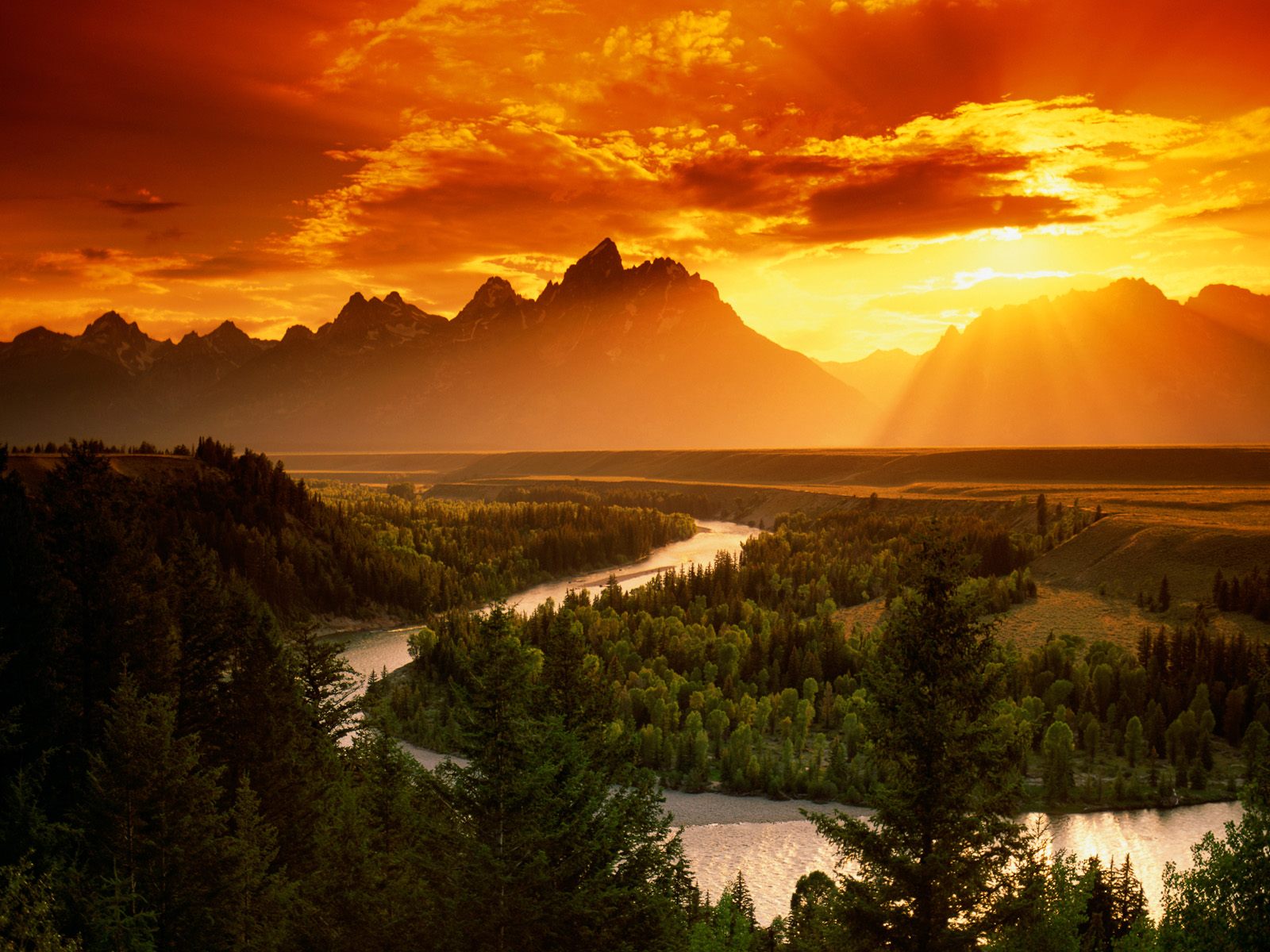 Nature (52).jpg